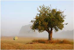 Eric Delouche artiste photographe