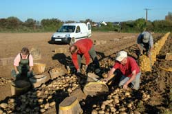 le savoir faire de Jacques et Martine Joly agriculteurs