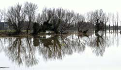 inondations Anneville en saire