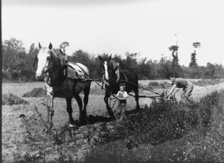la charrue