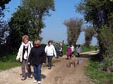 DSCN8464